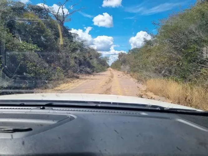 Fazenda a venda na região do Matopiba PI 5.026 hectares, região grande expansão