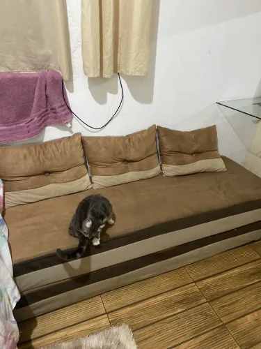 Sofá cama