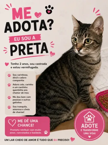 Animais