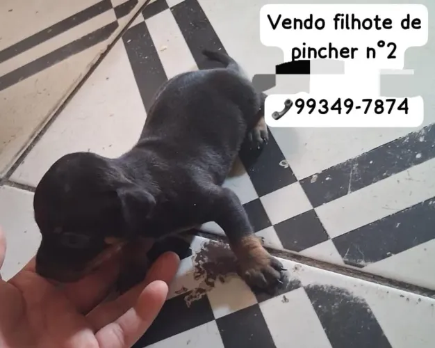 Vemde