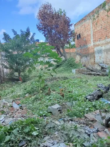Vendo terreno 