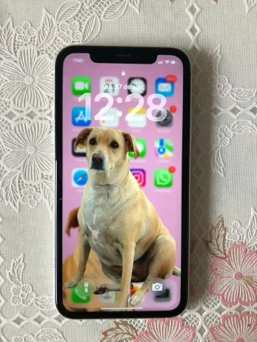 iPhone 11 64GB (super conservado)