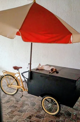 Bikefood baratinha pra você vender muito!!! ?