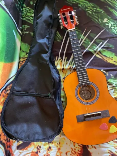 Cavaquinho Giannini