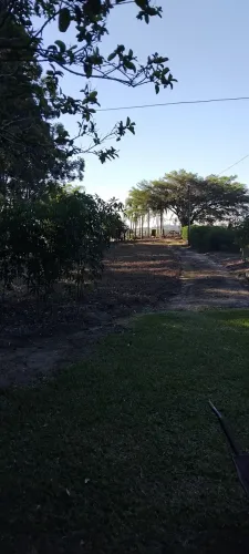 BARBADA sítio em sentinela do sul