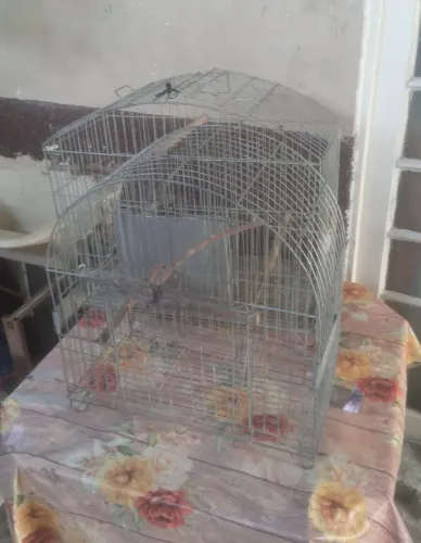 Vendo duas gaiolas para calapsitas