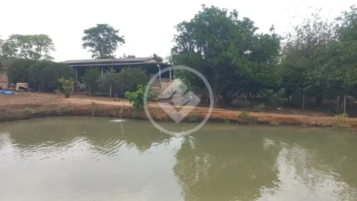 Goianápolis - Chácara de 4 Alqueires codigo: 266437