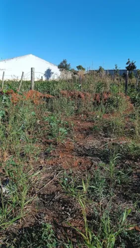 Lote com 547m2 pode fazer 3 casas no Jardim Boa Esperança Prox. Forum do Garavelo