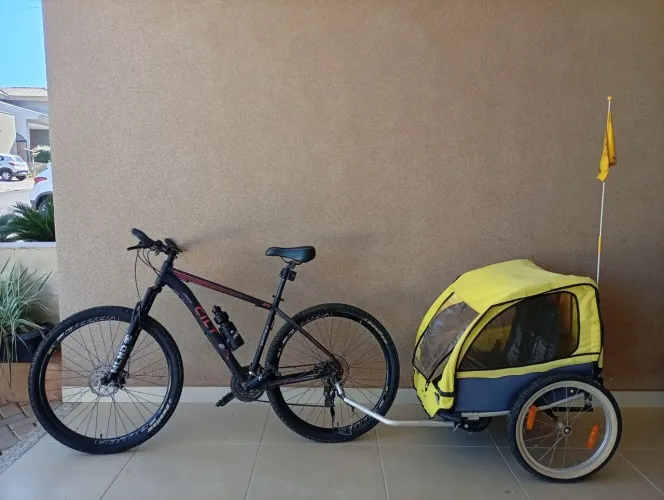 Carretinha Bike Trailer para 2 Crianças - Reboque de Bicicleta