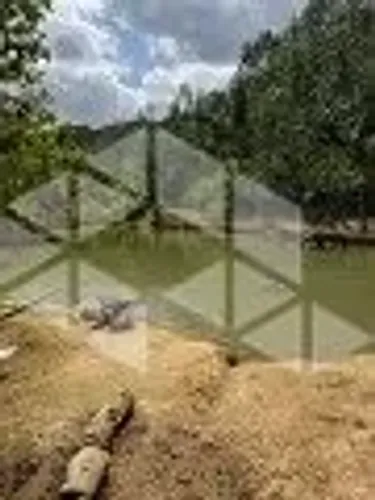 SÍTIO PARA VENDA EM - SAO BONIFACIO -SC