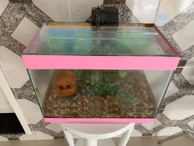 Aquário completo com decoração e filtro 