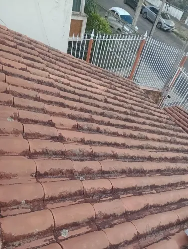 Limpa calha e telhado 