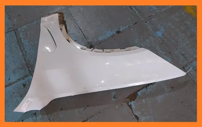 Paralama Esquerdo X5 2014 2015 2016 2017 2018