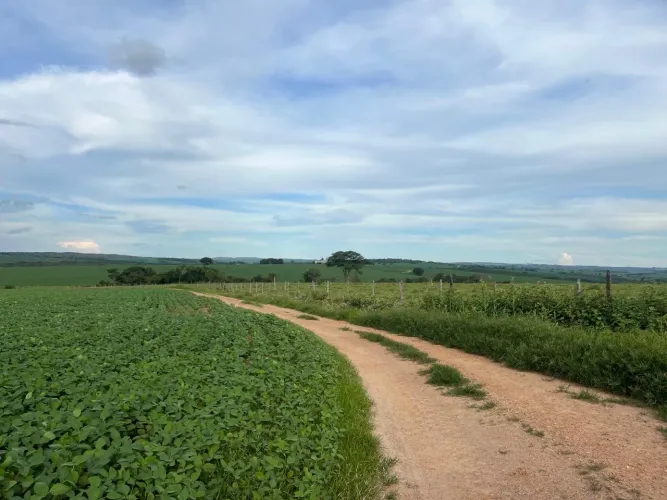 Fazenda à venda catalão Goiás