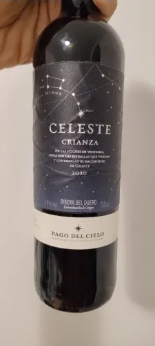 Vinho tinto fino seco tempranillo Celeste Crianza família torres 