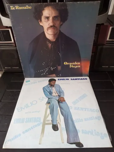 DISCOS DE VINIL MPB ROCK POP BOSSA NOVA 
