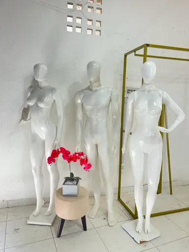 Manequins masculino ou feminino (cada)