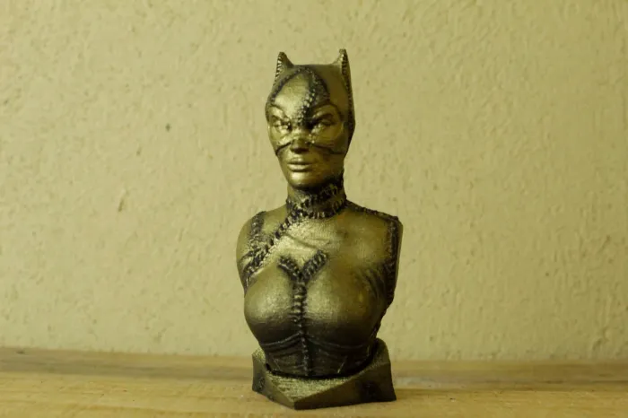 Busto mulher Gato