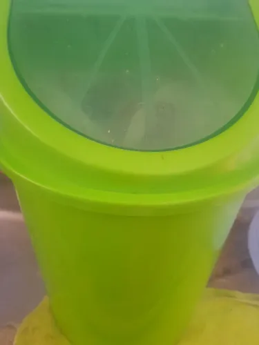 Utensílios doméstico lixeira