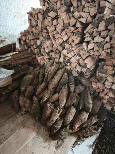 Nó de pinho 