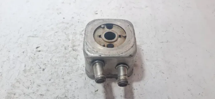 Trocador De Calor Do Óleo Audi A4 3.0 V6 03 04 05 06