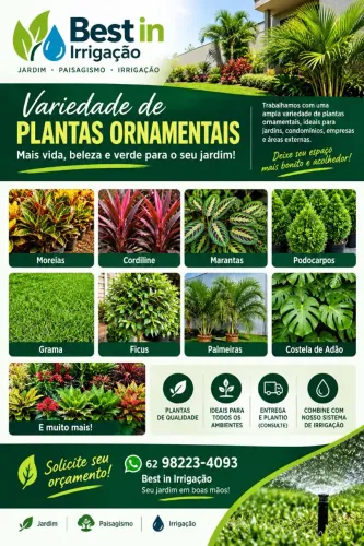 Plantas ornamentais