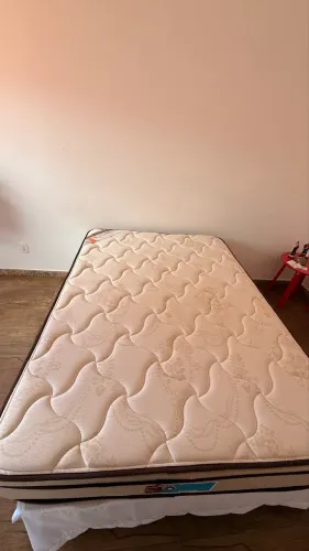 Cama box castor innovation