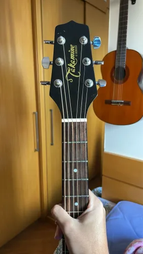 Takamine EG531