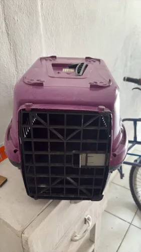 Casinha de cachorro