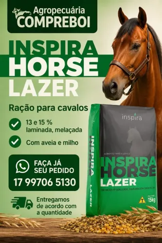 RAÇÃO 12% MELAÇADA COM AVEIA 