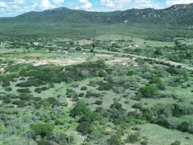 Fazenda em Custódia/PE à Venda (FA0224-PV)