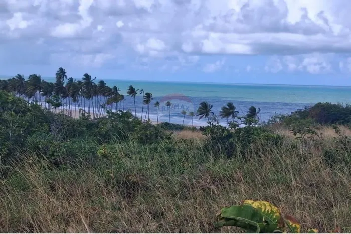 VISTA PERMANANTE PARA O MAR