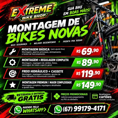 Montagem profissional de bike ( retirada e entrega grátis)