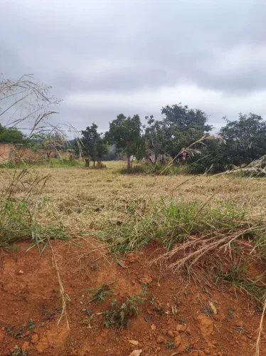 ? Oportunidade Imperdível! Lote Plano de 360 m² em Luziânia - GO