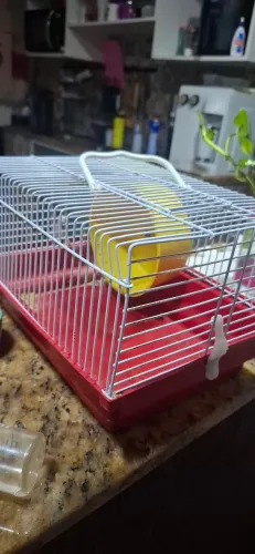 Gaiola hamister
