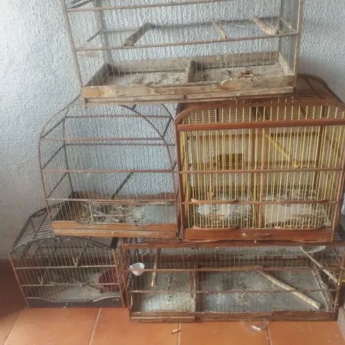Gaiolas
