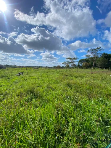 Terreno em São Felipe