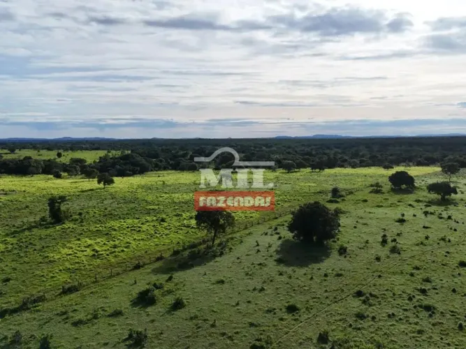 Fazenda 235 alqueires (1.137 hectares) Araguapaz - Go