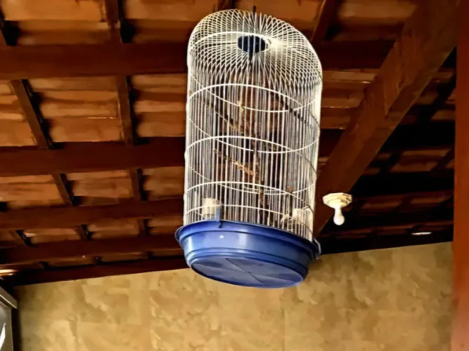 Gaiola para pássaros 