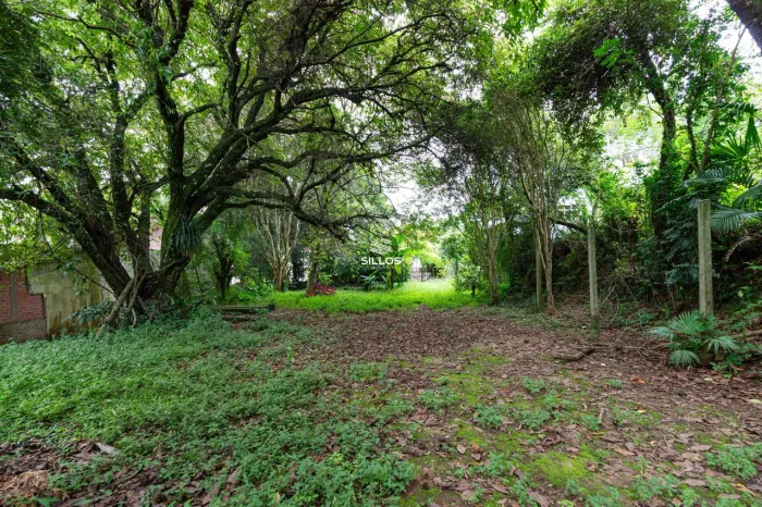 Terreno à venda com 1800 m² no São Lourenço em Curitiba