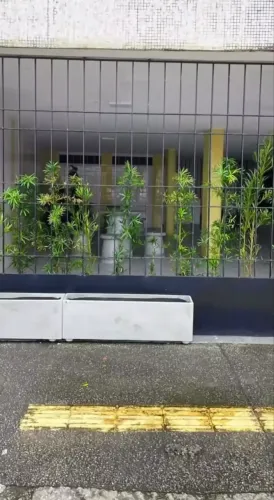 Vaso de planta cimento 12 unidades