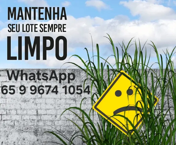 limpeza de Lotes Terrenos em Nova Mutum MT De R$80 a R$100