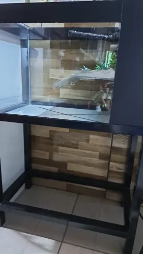 Aquário Aquaterrário Completo com Suporte Inox, Sistema de Filtragem e Tampa de Vidro