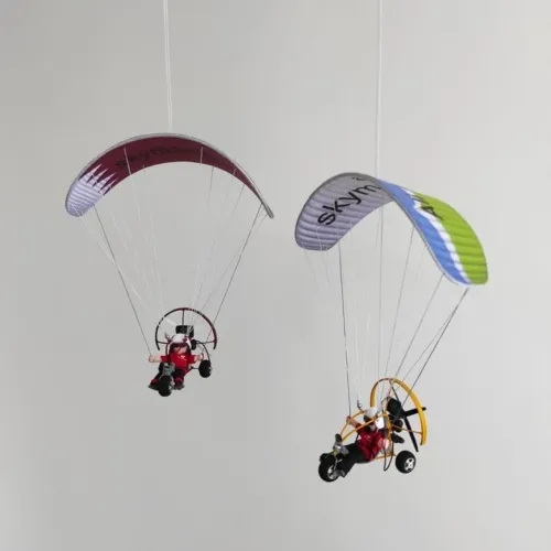 Paramotor de controle remoto