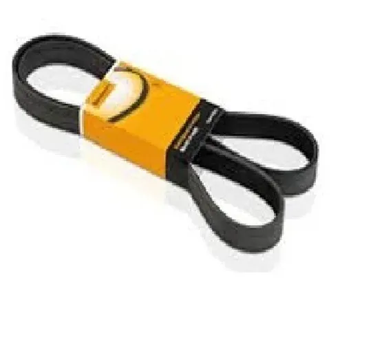 Correia Poly V Elantra Continental 4PK0962