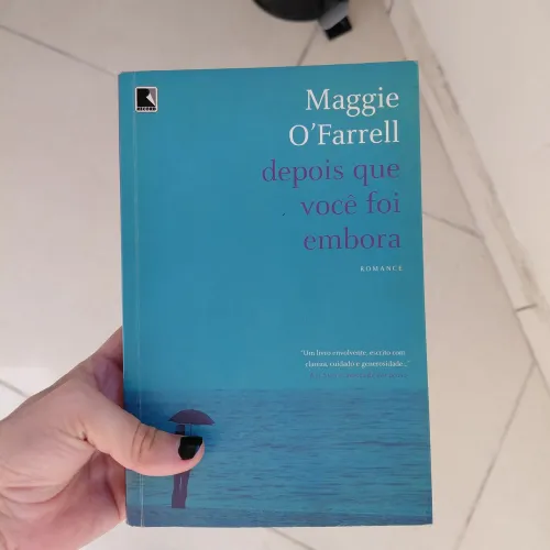 Livro Depois que você foi embora Desapego