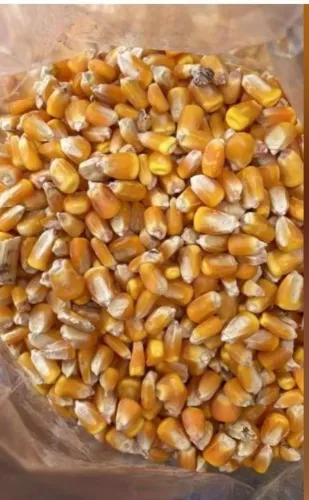Venda de produtos de alta qualidade, ideais para alimentação animal e consumo humano: