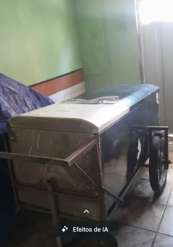 Carrinho de coco geladeira dúplex valor de 800 chama no zap preço negociável pra vin busca
