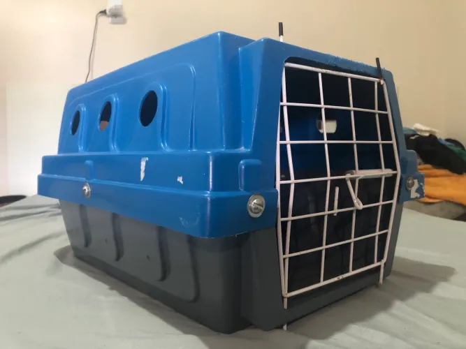 CAIXA DE TRANSPORTE PARA GATOS E CÃES PEQUENOS Nº 01