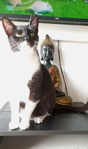 Lord para doação 